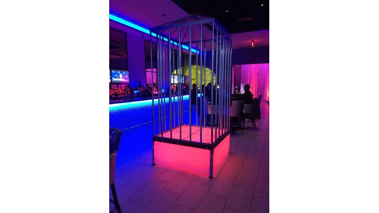 4′ x 4′ x 9’H LED Dance Cage Platform – Metal | Rental