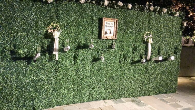 7′ x 16′ Living Champagne Wall | Rental 7′ x 16′ Living Champagne Wall | Rental