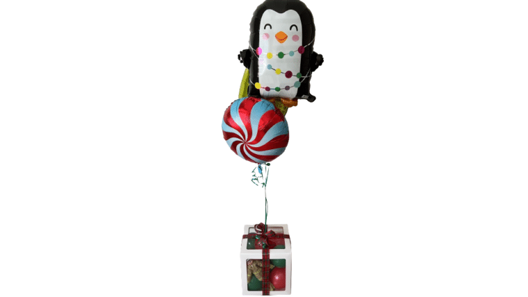 Elf On The Shelf Balloon (Includes New Book & Elf) | Rental