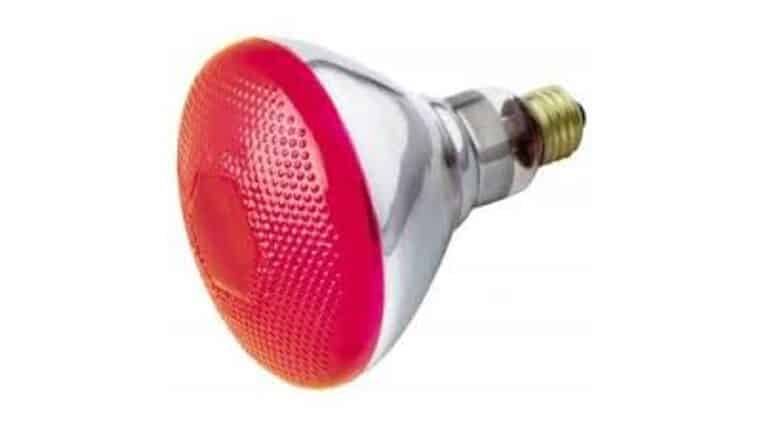 100W – 120V – Incandescent Magenta Reflector Flood Light Bulb | Rental