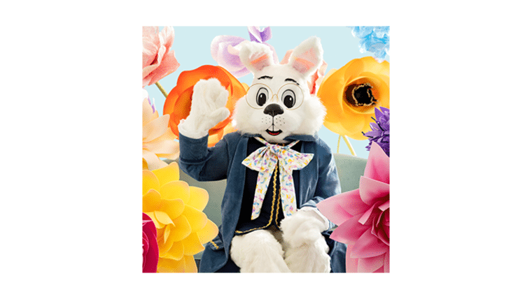 Easter Bunny Visit | Rental Easter Bunny Visit | Rental