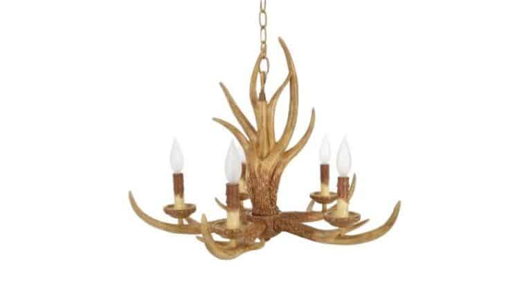 5 Light Hanging Natural Antler Chandelier | Rental