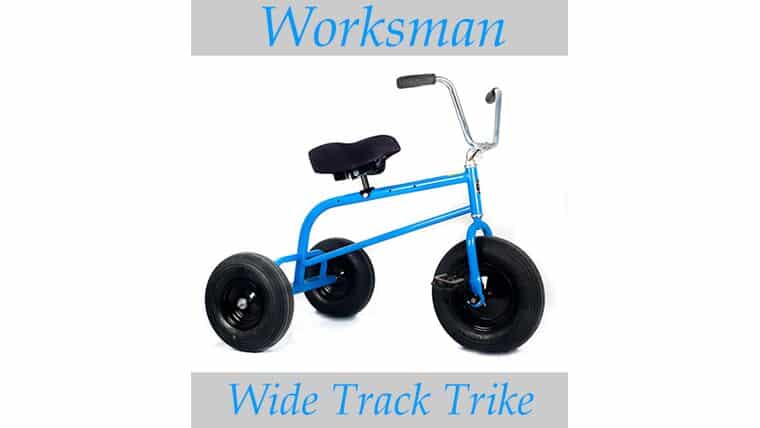 Giant Trikes (Adult Size) – Blue | Rental