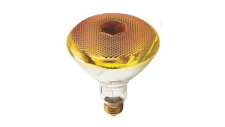 100W – 120V – Incandescent Orange Reflector Flood Light Bulb | Rental