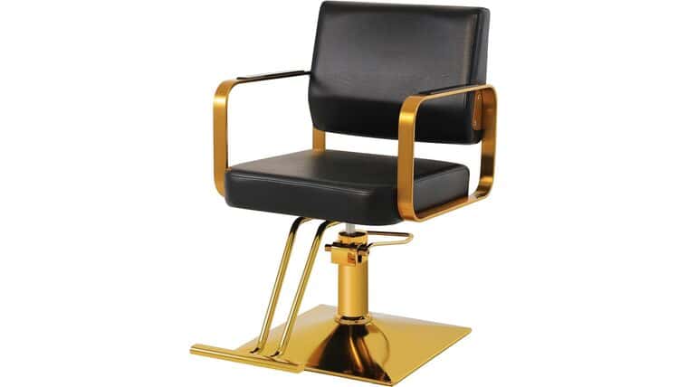 Hydraulic Pump Hair Salon Chair 360 Degree Rotating Barber Chair, Spa Beauty Equipment for Hair Stylists, Tattoo Artists, Cosmetologists (Not Tilting) | Rental Hydraulic Pump Hair Salon Chair 360 Degree Rotating Barber Chair, Spa Beauty Equipment for Hair Stylists, Tattoo Artists, Cosmetologists (Not Tilting) | Rental
