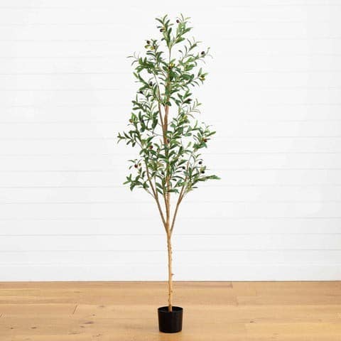 6’ Artificial Olive Tree with Natural Trunk | Rental
