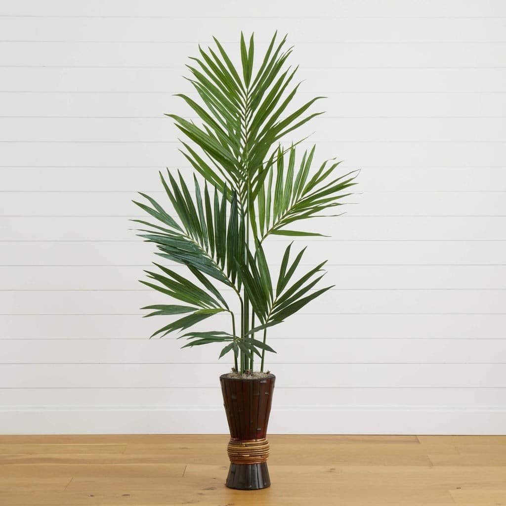 6’ Kentia Tree w/Bamboo Planter | Rental