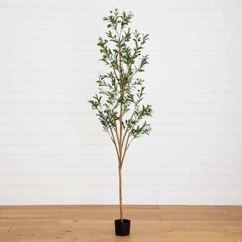 7′ Artificial Olive Tree with Natural Trunk | Rental