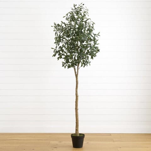 7’ Artificial Olive Tree | Rental