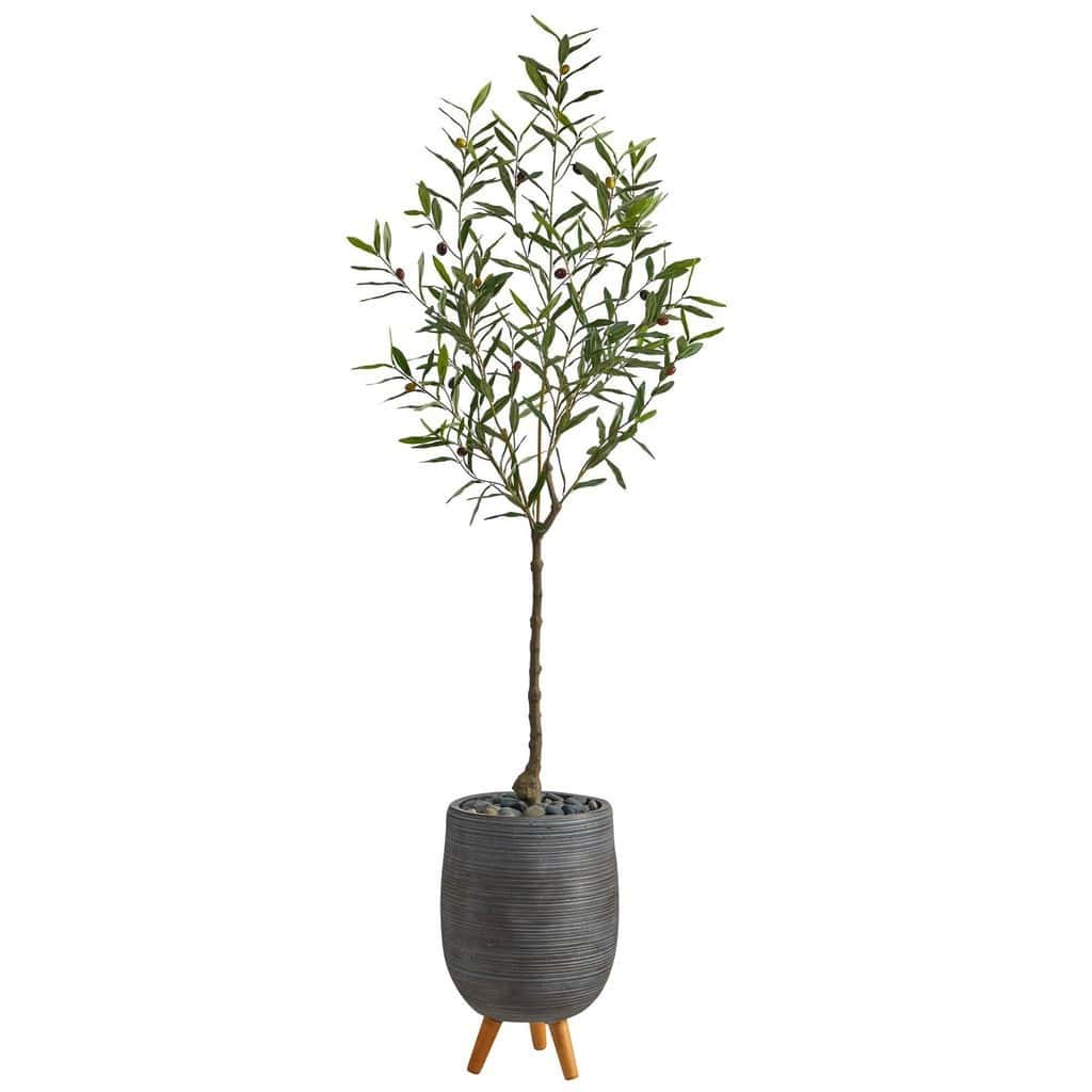 70” Olive Artificial Tree in Gray Planter with Stand | Rental 70” Olive Artificial Tree in Gray Planter with Stand | Rental
