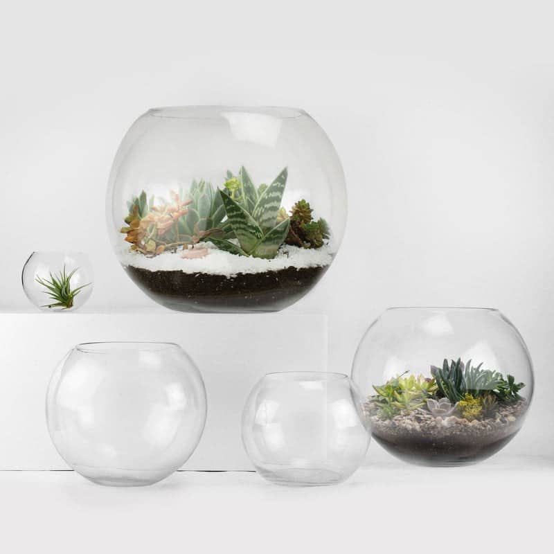 Bubble Bowl | Rental
