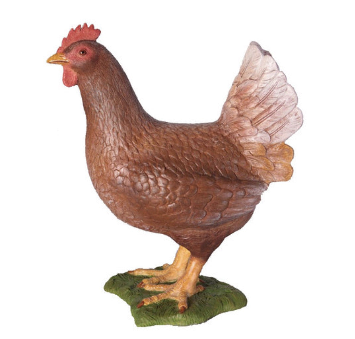 Brown Chicken Hen | Rental Brown Chicken Hen | Rental