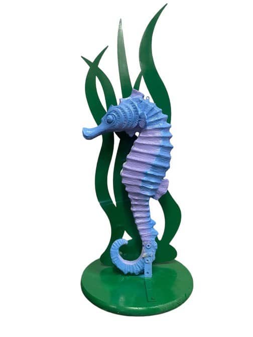 Seahorse | Rental