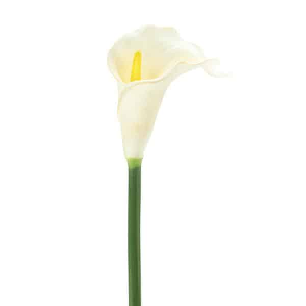 Decostar™ Artificial Calla 24″ – White | Rental