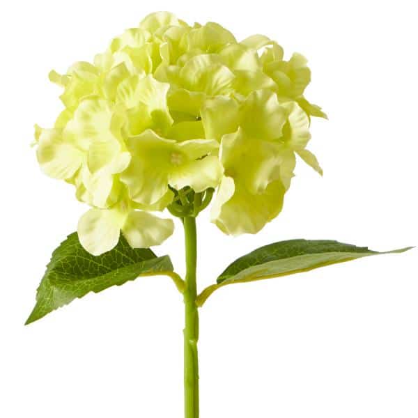 Decostar™ Artificial Hydrangea Stem – 14″ Apple Green | Rental Decostar™ Artificial Hydrangea Stem – 14″ Apple Green | Rental