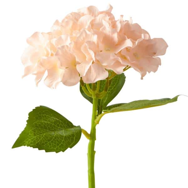 Decostar™ Artificial Hydrangea Stem – 14″ Blush | Rental Decostar™ Artificial Hydrangea Stem – 14″ Blush | Rental