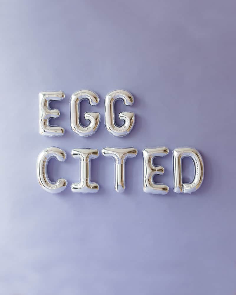 16in Silver EGGCITED Foil Letters Set | Rental
