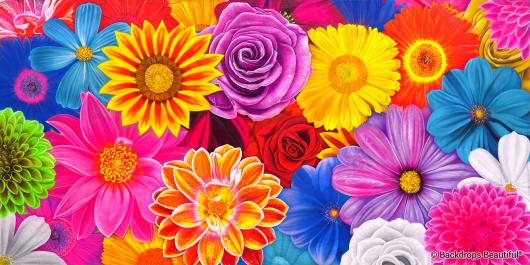 Flowers 2 | Rental
