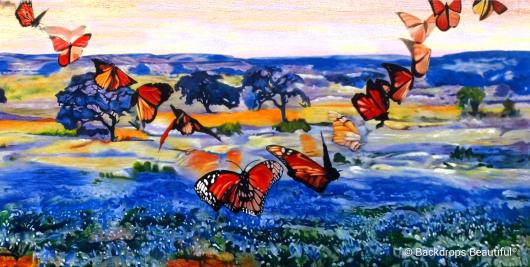 Butterflies in flight (Alt View) | Rental