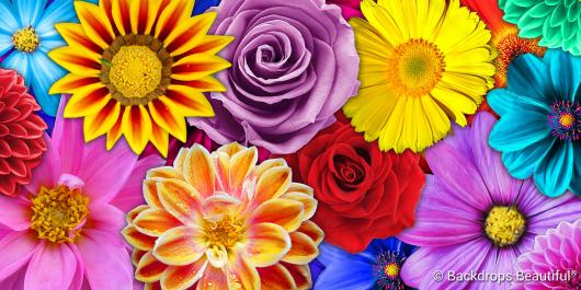 Flowers 1 | Rental