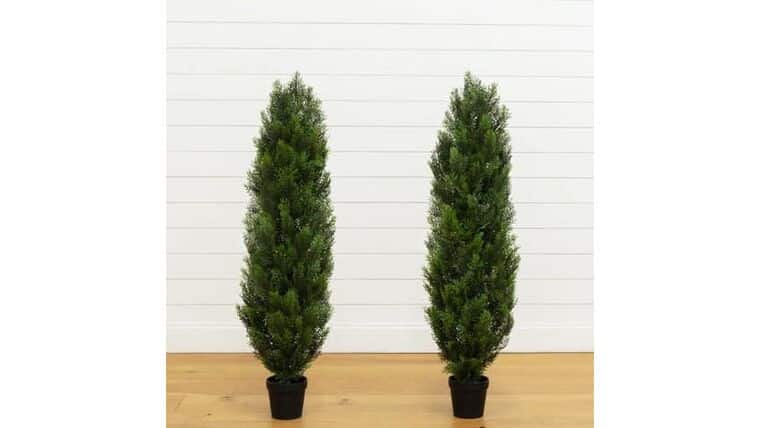 2’ Artificial Cedar Bush (Indoor/Outdoor) – Set of 2 | Rental