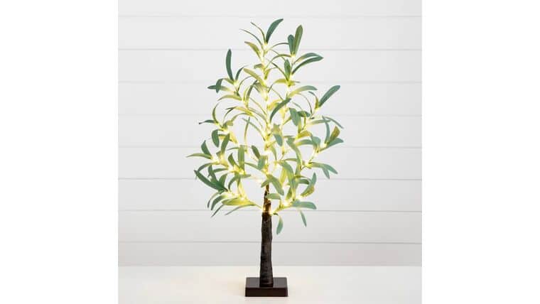 2’ Lighted Artificial Olive Tree with 60 Warm White LED Lights | Rental