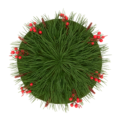 2246 Red Berry Placemat | Rental