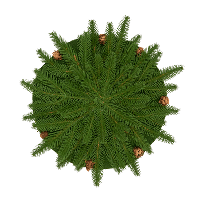 2245 Pine Cone Placemat | Rental