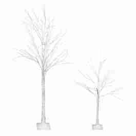 Lighted Birch Trees | Rental